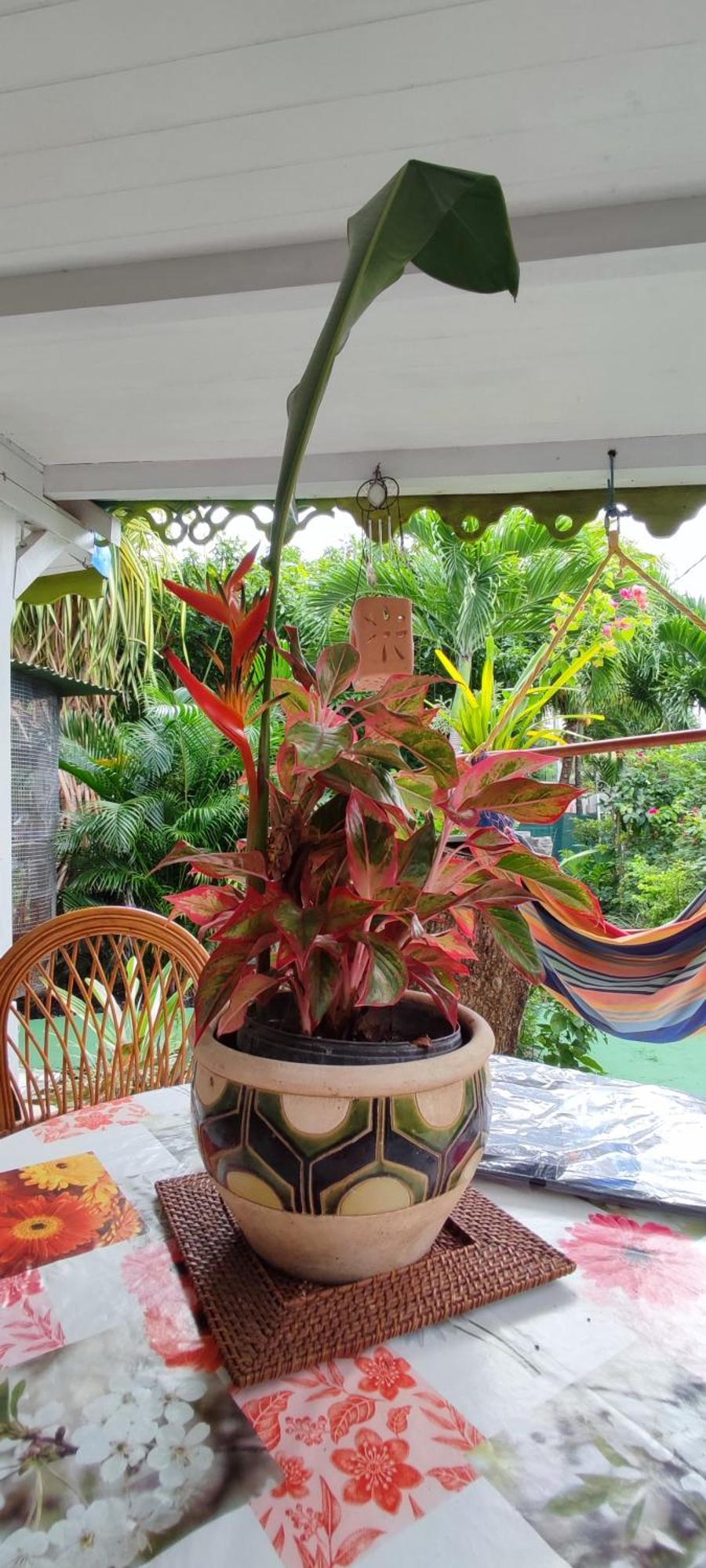 Vila La Kaz Creole Bouillante Exteriér fotografie